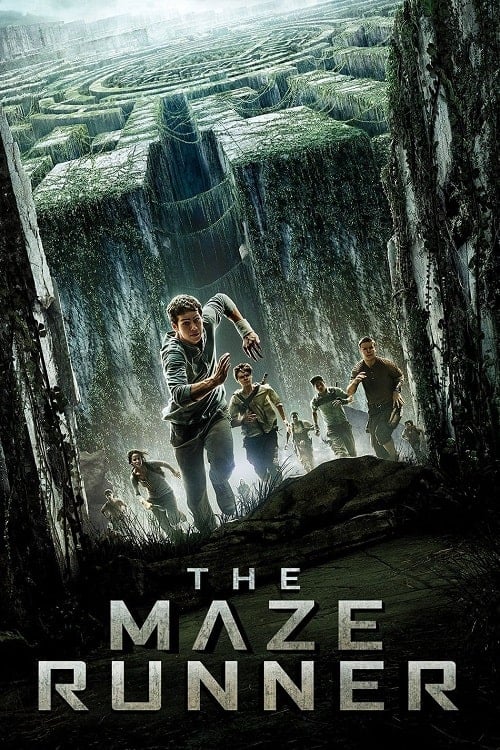 ดูหนังออนไลน์ฟรี The Maze Runner (2014) วงกตมฤตยู