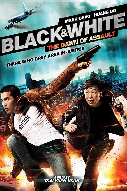 ดูหนังออนไลน์ฟรี Black and White The Dawn of Assault (2012) คู่มหาประลัย อุบัติการณ์ถล่มเมือง