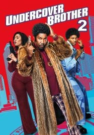 ดูหนังออนไลน์ฟรี Undercover Brother 2 (2019) อันเดอร์คัพเวอร์ บราเธอร์ 2