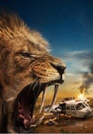 ดูหนังออนไลน์ฟรี Prey ขย้ำ (2024)