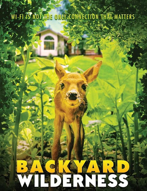 ดูหนังออนไลน์ฟรี Backyard Wilderness (2018)
