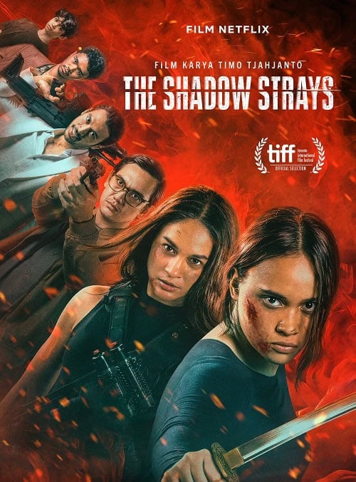 ดูหนังออนไลน์ฟรี The Shadow Strays นักฆ่าเงาล่าทรชน (2024)