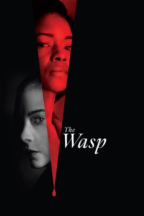 ดูหนังออนไลน์ฟรี The Wasp (2024)
