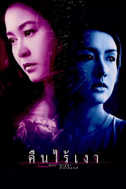 ดูหนังออนไลน์ฟรี One Night Husband (2003) คืนไร้เงา