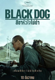 ดูหนังออนไลน์ฟรี Black Dog (2024) สี่ขาหัวใจไม่ดำ