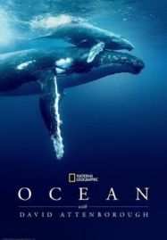 ดูหนังออนไลน์ฟรี Ocean with David Attenborough (2025)