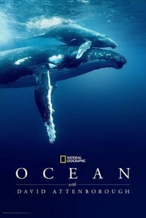 ดูหนังออนไลน์ฟรี Ocean with David Attenborough (2025)
